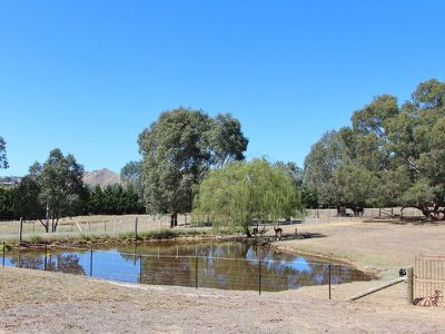 Bonnie Doon