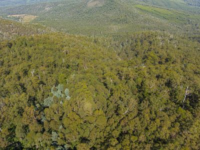 Lot 1, Link Road, Lonnavale