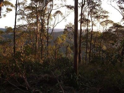 301 Harpers Creek Road, Conondale
