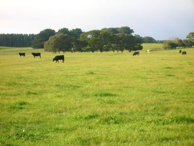 Lot 1-100, Cnr O'Neil Road & Triangle Road, Worrolong