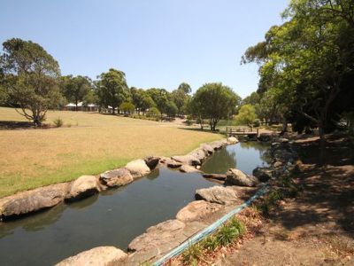 6 / 6 Clio Street, Wiley Park