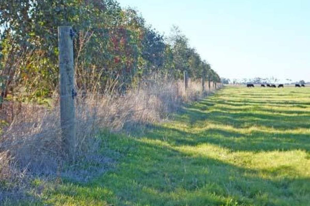 Trevaskis Road, Kyabram