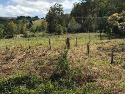 1 Tuntable Creek Road, The Channon