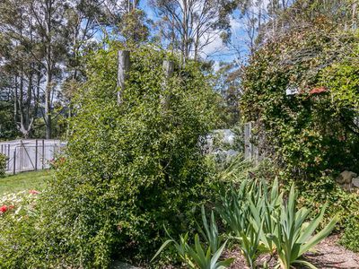 19 Sturmer Close, Allens Rivulet