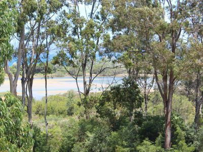 38 Marlin Avenue, Eden