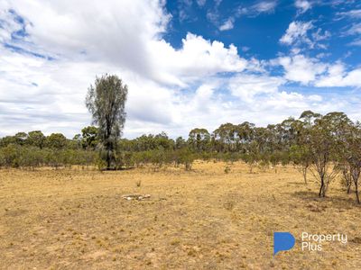 81 Smiths Road, Bealiba