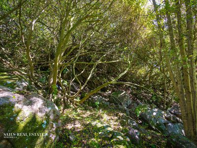 471 Mount Darragh Road, Lochiel