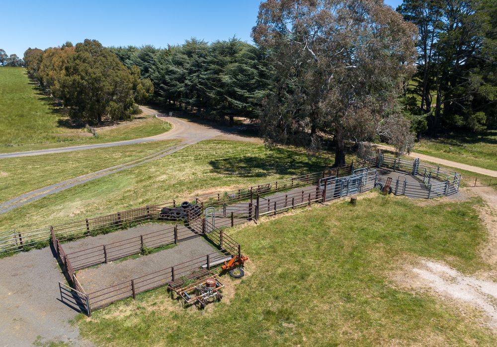 127 Orchard Road, Springside