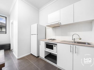 19 Alphin Street, Lidcombe