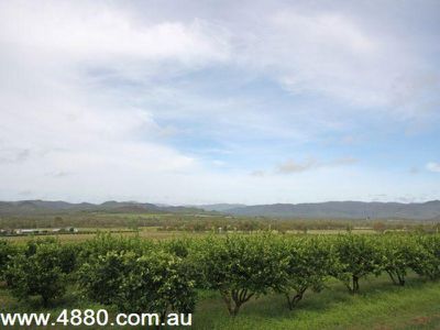 1297 Wolfram Road, Mareeba