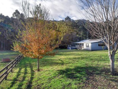 1380 Buttercup Road, Merrijig