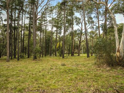 15 Canterbury Road, Macedon
