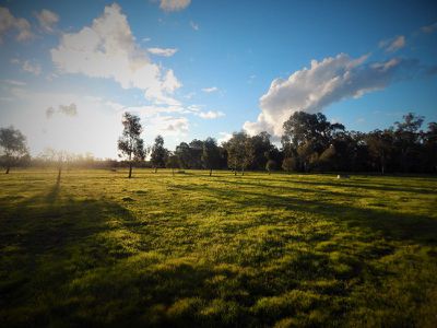 149 Flowerday Lane, Murrabit West