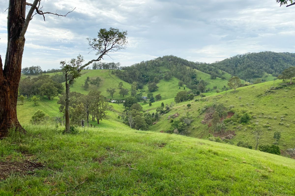 207 Butchers Creek Road, Wherrol Flat