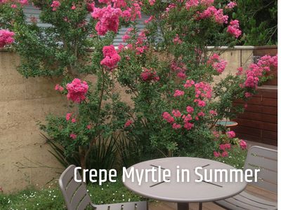 1 Nolan Street, Mansfield