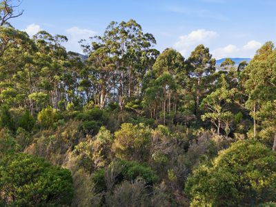 287 Esperance Coast Road, Brooks Bay