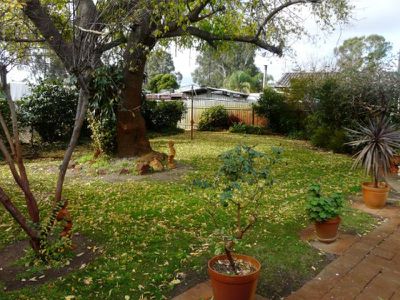 Tocumwal