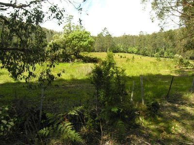 Lot 1 Halls Track Road, Pelverata