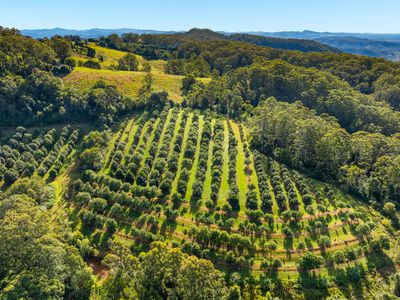 480 Ponsfords Road, Comboyne
