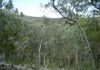 Lot 13, Mount Aquila Road, Stuart Town