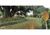 1012 Vittoria Road, Millthorpe