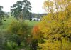 468 Icely Road, Orange