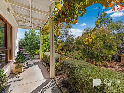 1 / 2 Murphy Street, Castlemaine