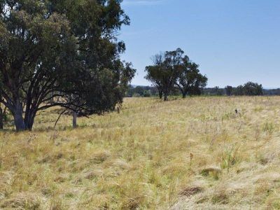 4 Drains Lane, Gowrie