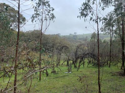 953 Brewers Road, Indigo Valley