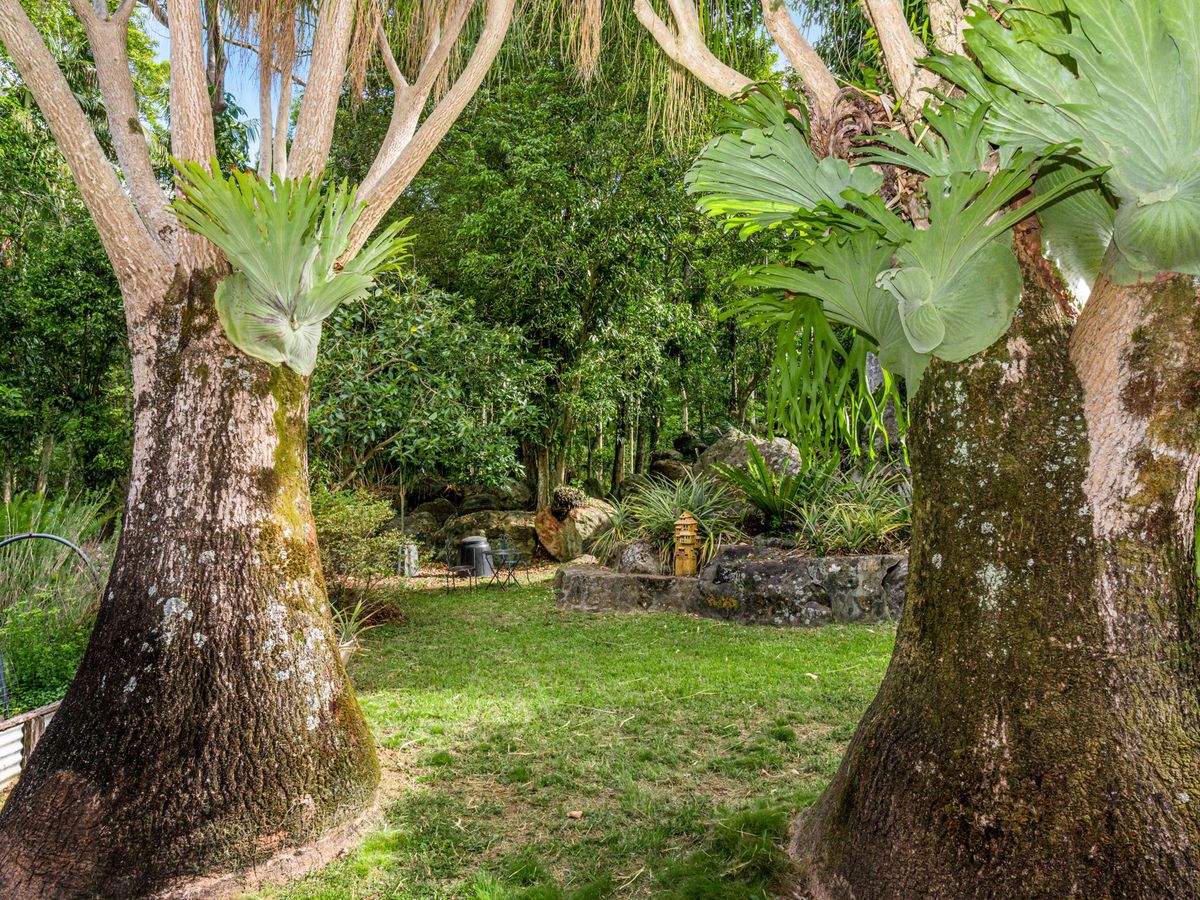 807 Left Bank Road, Mullumbimby Creek