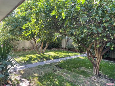 15A Farrin Street, Attadale