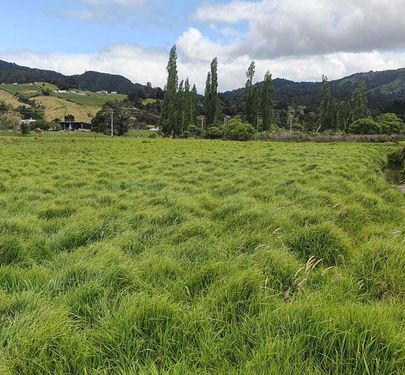 0 OMAUNU ROAD, KAEO , Kaeo