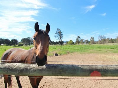 29 Monkey Gully Road, Mansfield