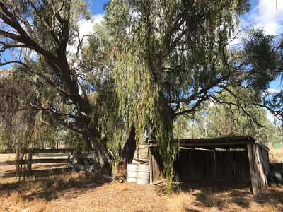 39 Chester Street, Barham