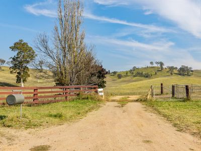 474 Neringla Road, Neringla, Araluen