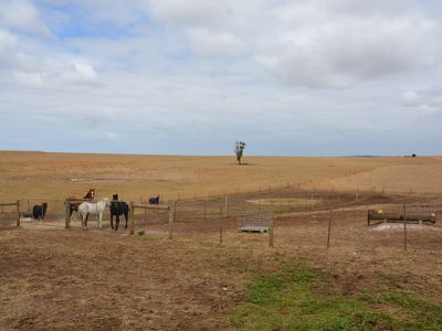 193 Swaffers Road, Mount Schank
