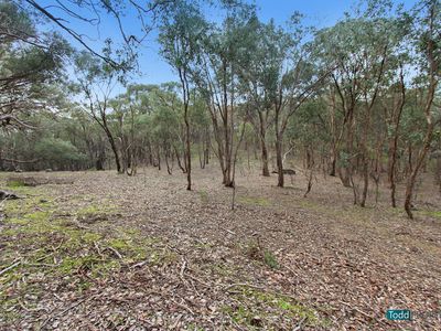 18 Back Kyneton Road, Heathcote