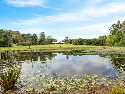 10 Wust Road, Cooroy