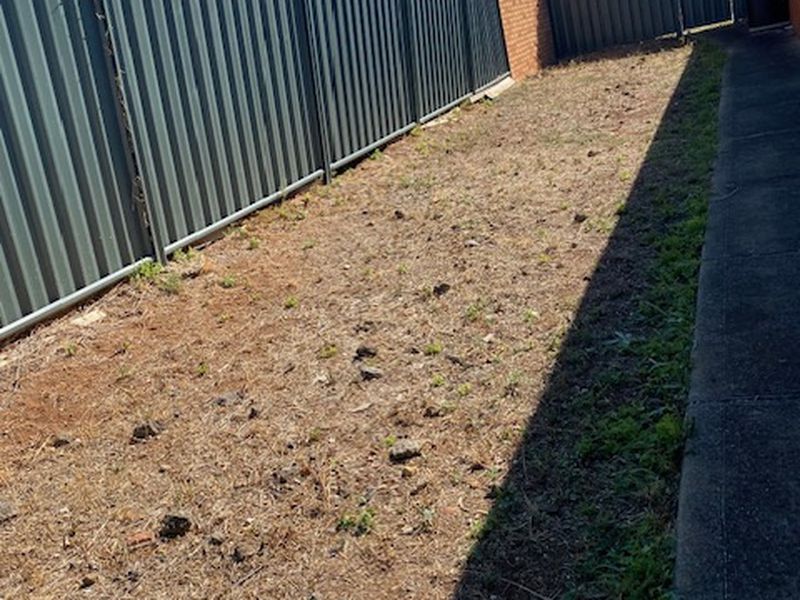 3 Garden View Drive, Tarneit