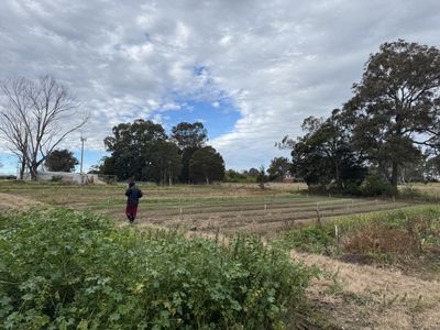 203 Heath Road, Leppington