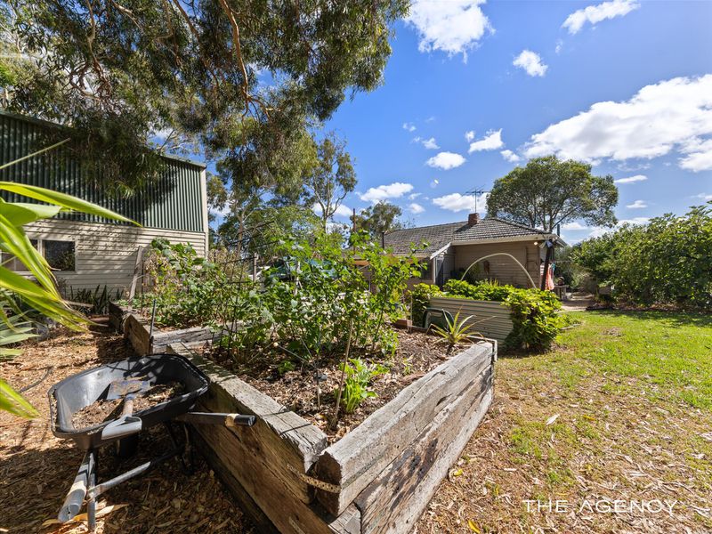 29 Starling Street, Hamilton Hill