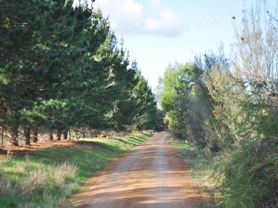 335 Bethel Road, Burrumbuttock