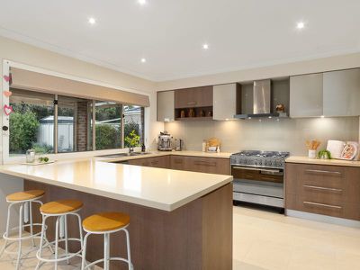 24 Black Wallaby Drive, Langwarrin