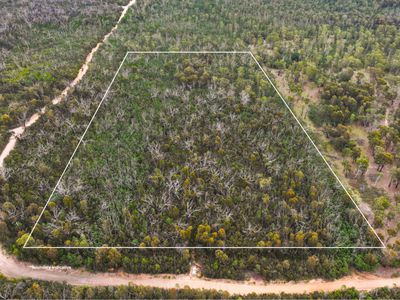 323 Endrick River Road, Nerriga