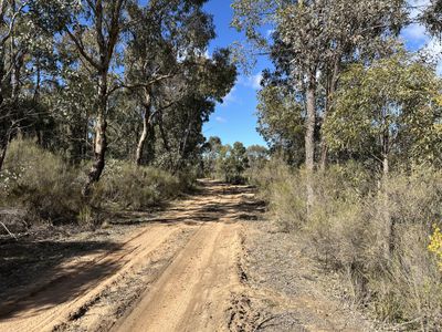 454 Cainbil Road, Coolah