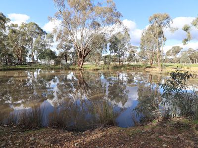 381 Warrowitue-Forest Road, Heathcote