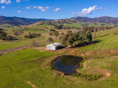 1209 Tallangatta Creek Road, Tallangatta Valley