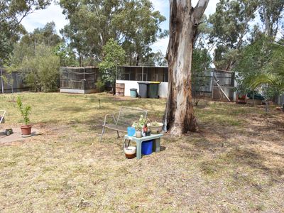 Lot 2 Wombin Street, Alectown