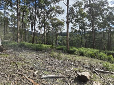 Lot 2, Off Paddys Lane, Franklin