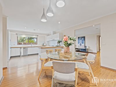17 Francine Court, Narre Warren
